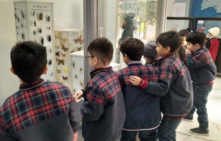 اردوی حیات وحش 11