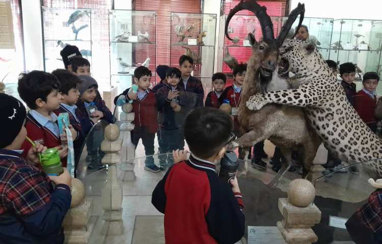 اردوی حیات وحش 3