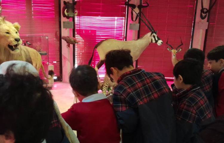 اردوی حیات وحش 4