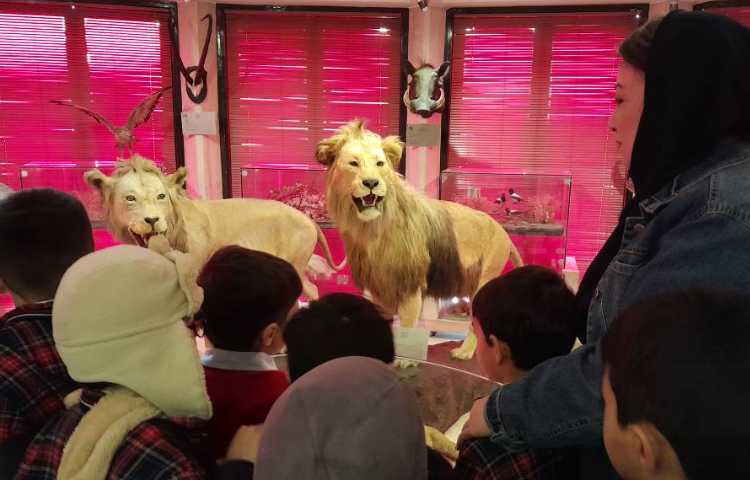 اردوی حیات وحش 5