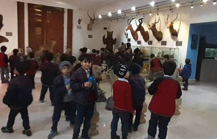 اردوی حیات وحش 6