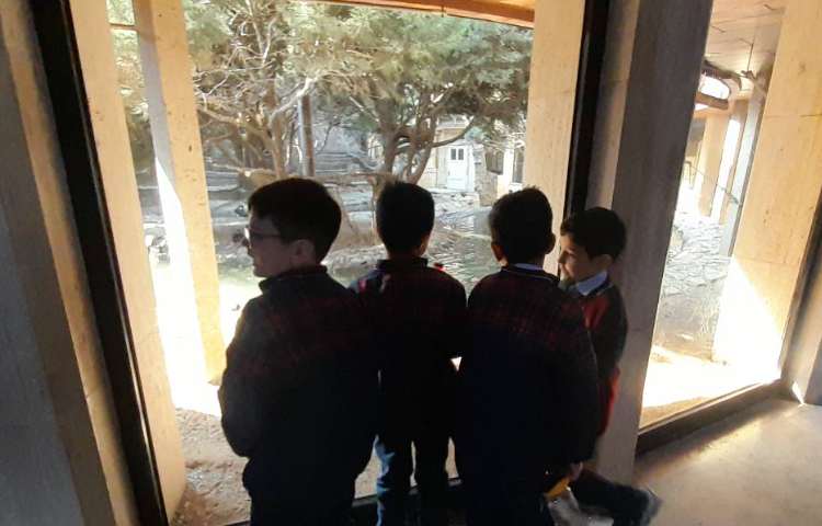 اردوی حیات وحش 7