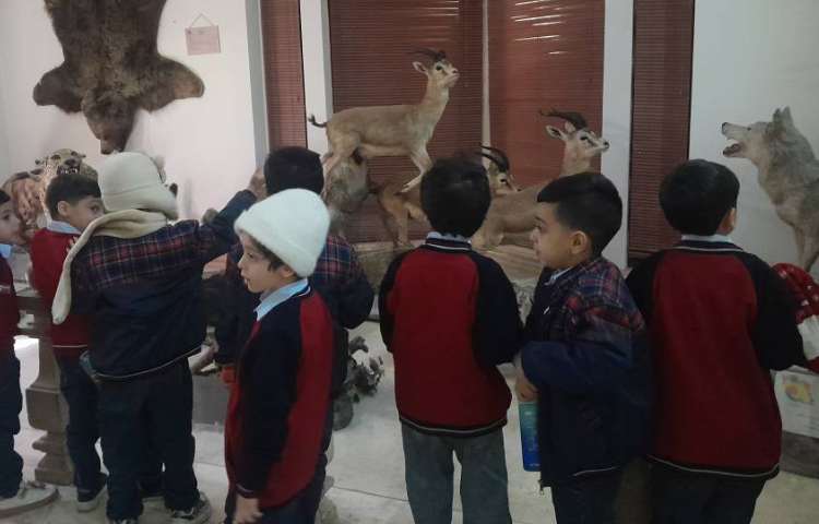 اردوی حیات وحش 8