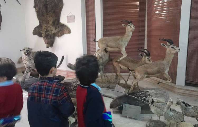 اردوی حیات وحش 9