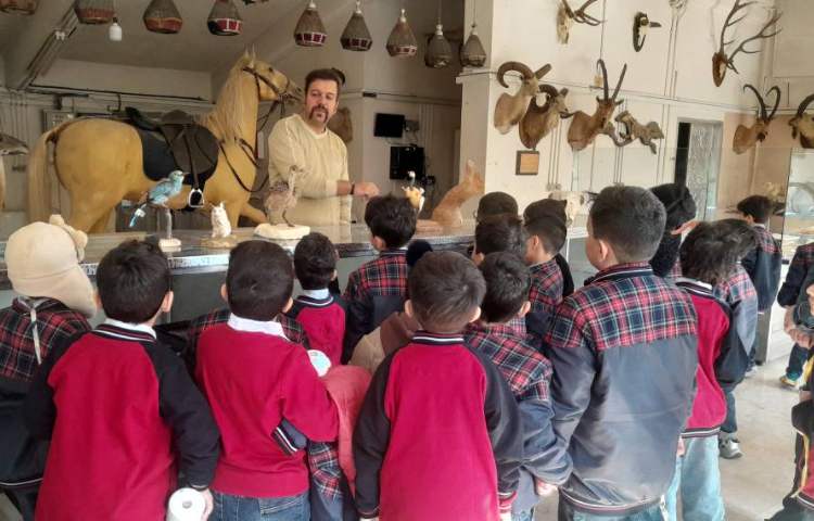 اردوی حیات وحش