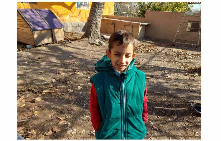 اردوی حیاط 10