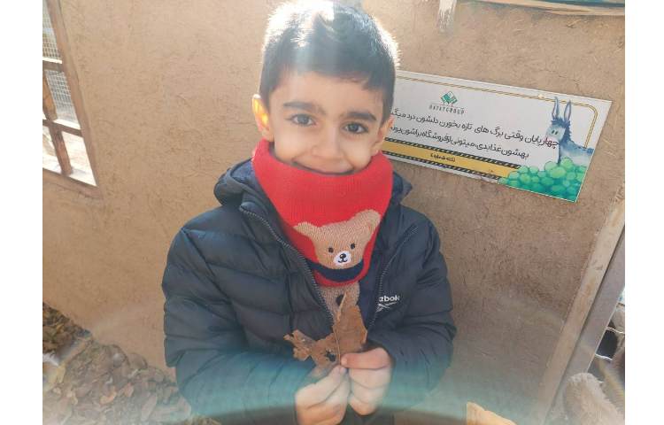 اردوی حیاط 11