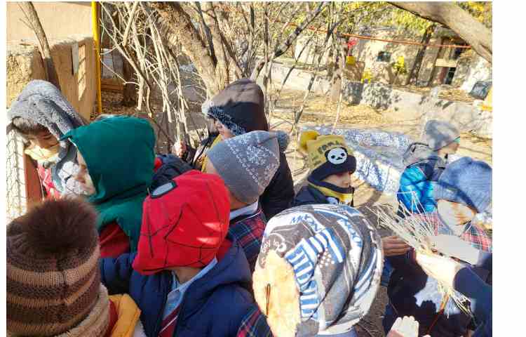 اردوی حیاط 17