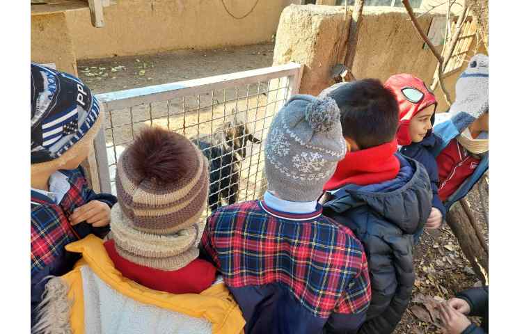 اردوی حیاط 18