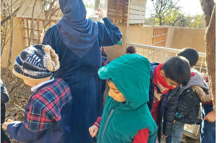 اردوی حیاط 20