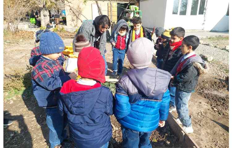 اردوی حیاط 5