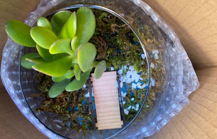 :اردوی درون مدرسه ای به مناسبت روز درختکاری همراه با پسران قاصدکی 1