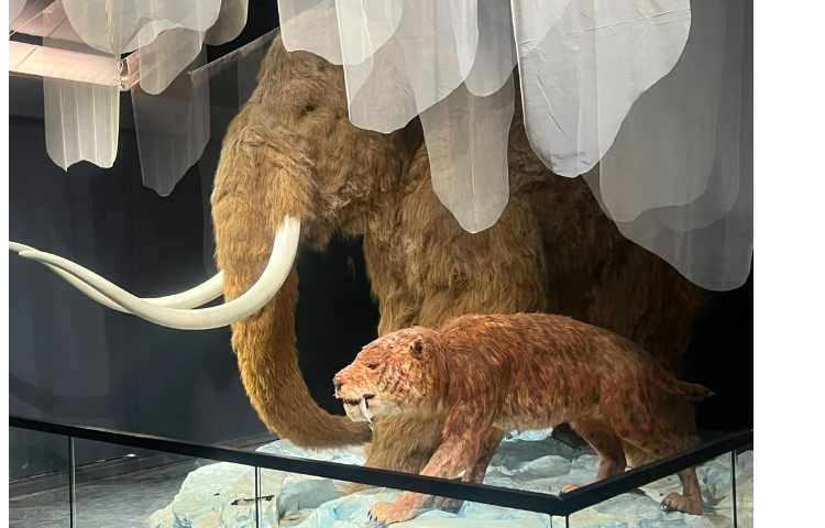 اردوی دنیای گمشده 5