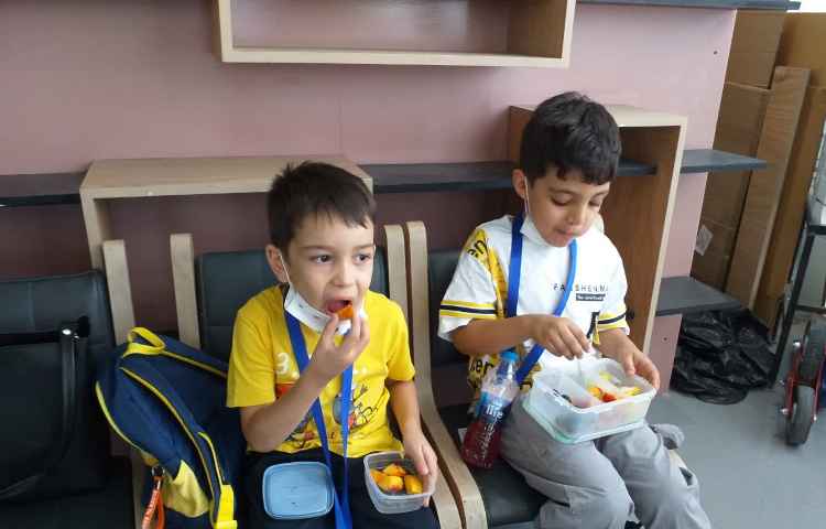 اردوی دکتر لند 3