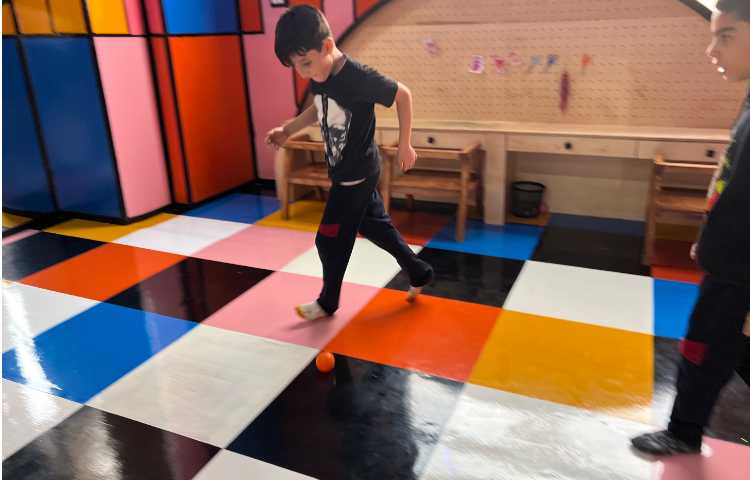 اردوی روشانو 28