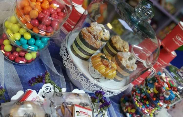 اردوی زبانی شاد و مهیج دوره اول 16