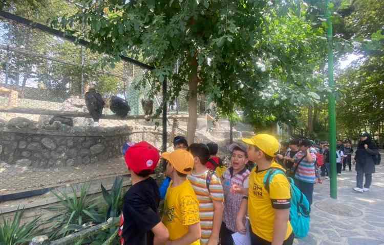 اردوی زبان باغ وحش ارم سبز 12