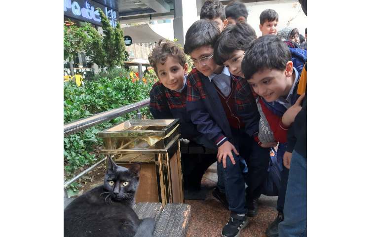 اردوی سرزمین افسانه ها 7