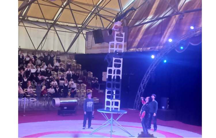 اردوی سیرک 1