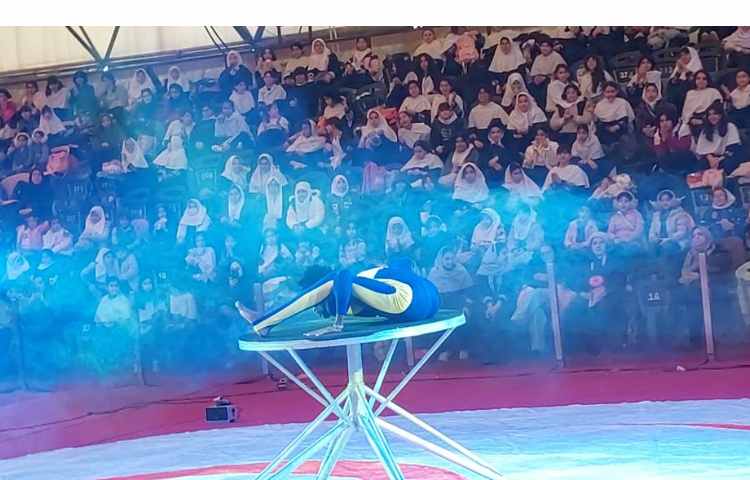 اردوی سیرک 2