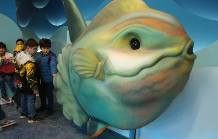 اردوی شاد آکوا پارک دانش آموزان پایه دوم دبستان علوی 2