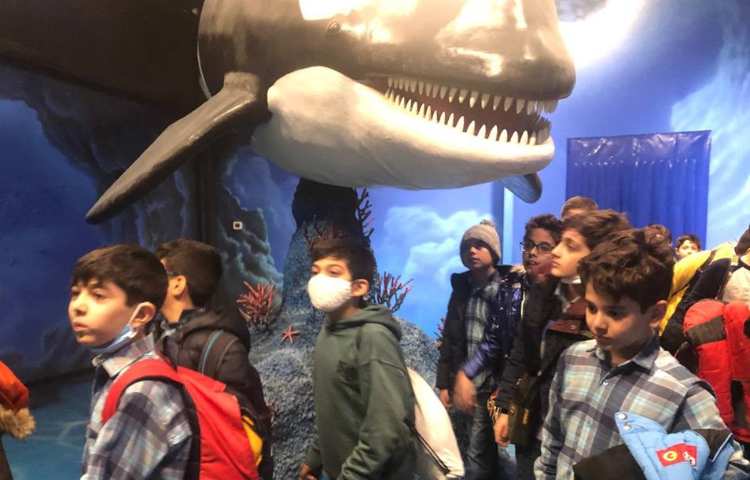 اردوی شاد آکوا پارک دانش آموزان پایه چهارم و پنجم 4