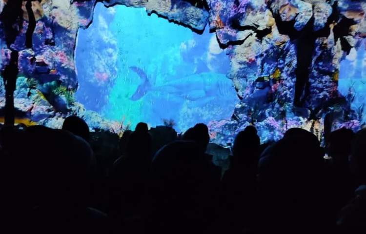 اردوی شاد آکوا پارک دانش آموزان پایه چهارم و پنجم 9