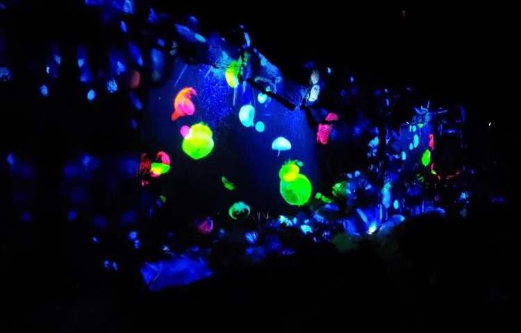 اردوی شاد و جذاب آکوا پارک (پارک آب و آتش) 12