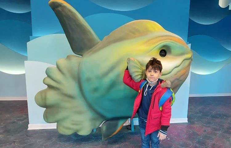 اردوی شاد و جذاب آکوا پارک (پارک آب و آتش) 14