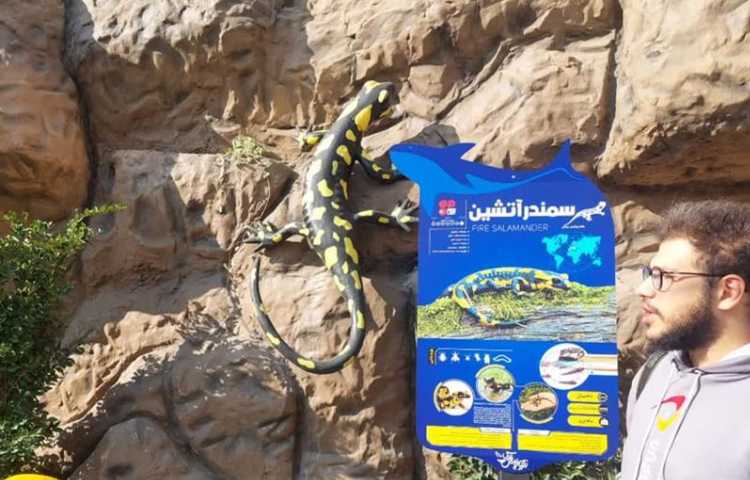 اردوی شاد و جذاب آکوا پارک (پارک آب و آتش) 20