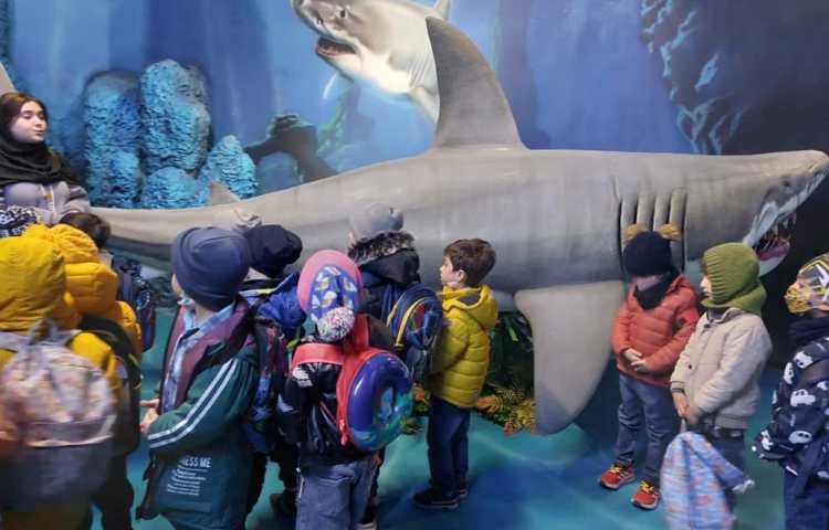 اردوی شاد و جذاب آکوا پارک (پارک آب و آتش) 21