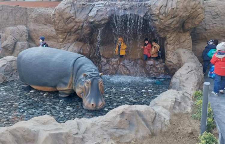 اردوی شاد و جذاب آکوا پارک (پارک آب و آتش) 23