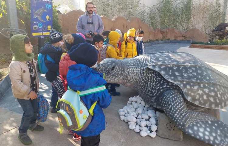 اردوی شاد و جذاب آکوا پارک (پارک آب و آتش) 28