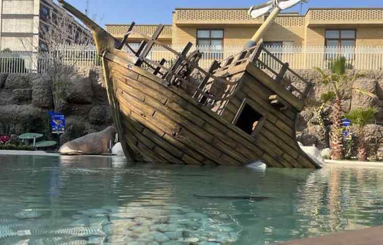 اردوی شاد و جذاب آکوا پارک (پارک آب و آتش) 30