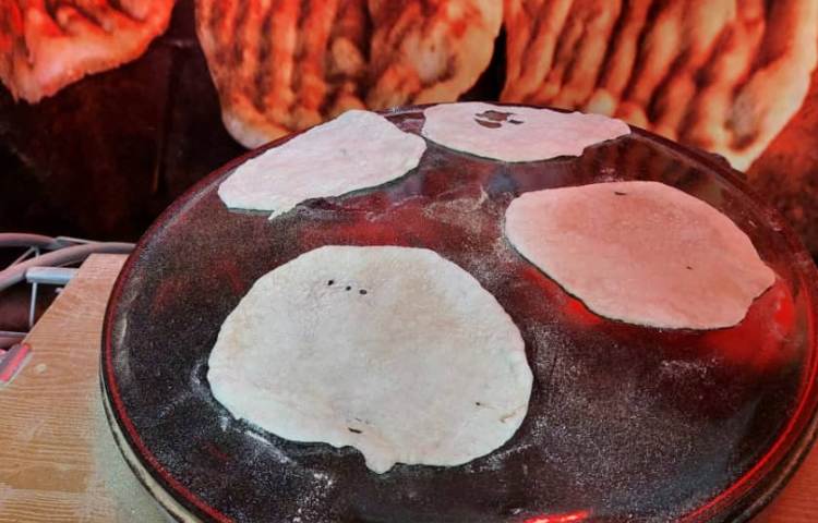 اردوی شاد و جذاب کاربازیا 14