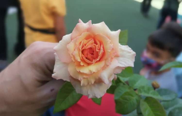 اردوی شاد و خلاق زی بازی 1