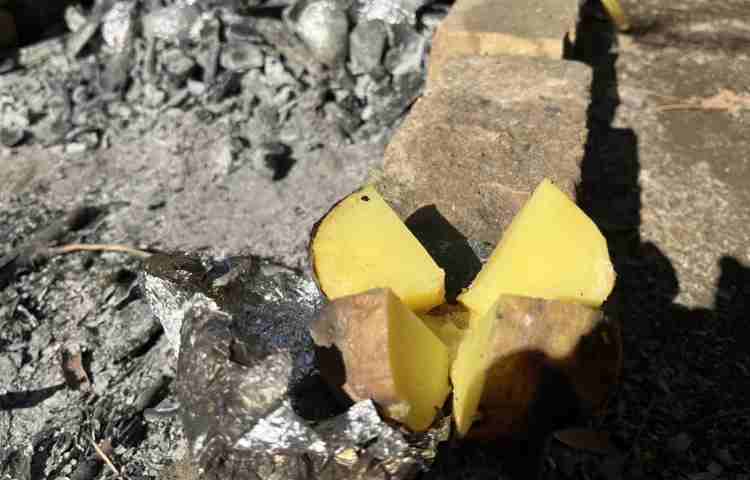 اردوی شب مانی 2