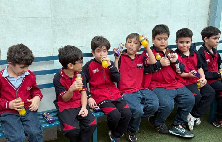 اردوی عصرمانی 12