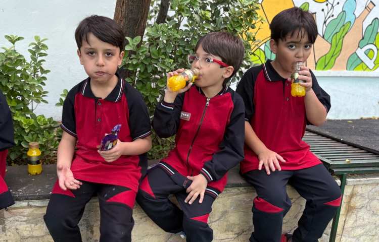 اردوی عصرمانی 14