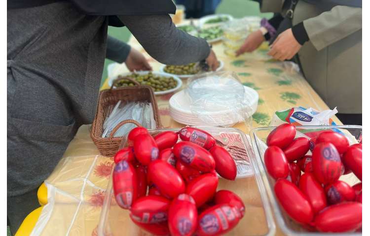 اردوی عصرمانی 43