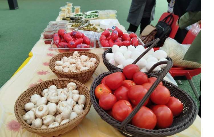 اردوی عصرمانی 67