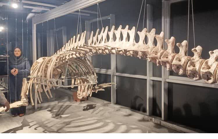 اردوی علمی برون‌مدرسه‌ای پارک فناوری پردیس 2