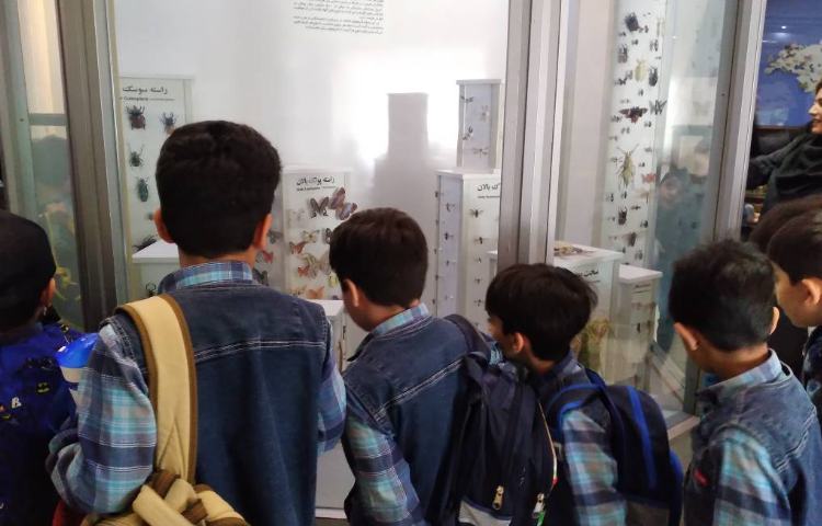 :اردوی علمی تفریحی حیات وحش دار آباد (ویژه پایه اول) 25