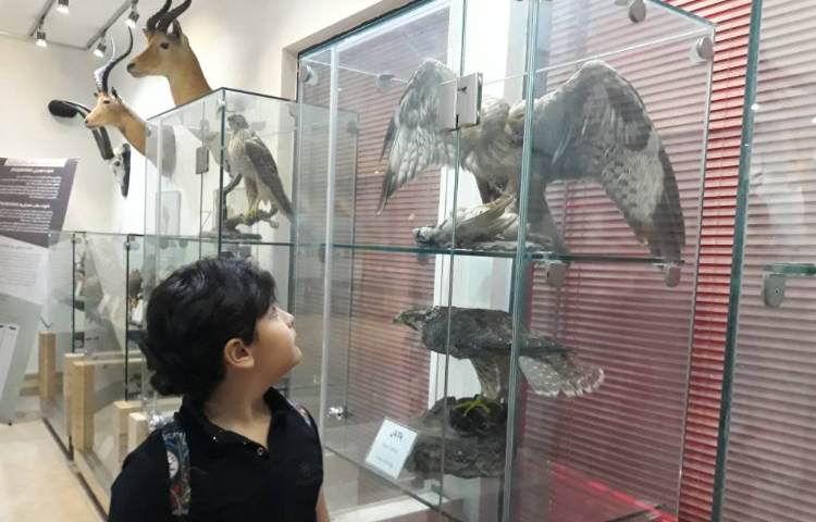 :اردوی علمی تفریحی حیات وحش دار آباد (ویژه پایه اول) 43