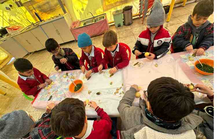 اردوی علمی پارک حیاط 11