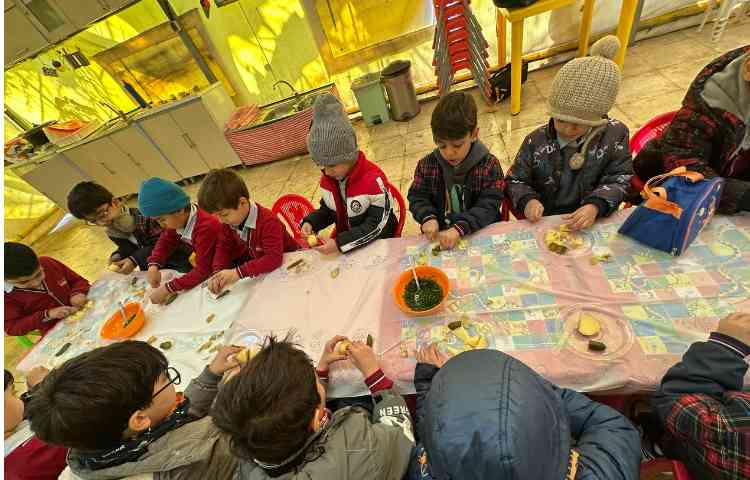 اردوی علمی پارک حیاط 12