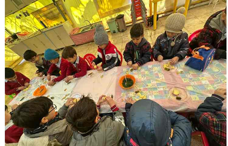 اردوی علمی پارک حیاط 13