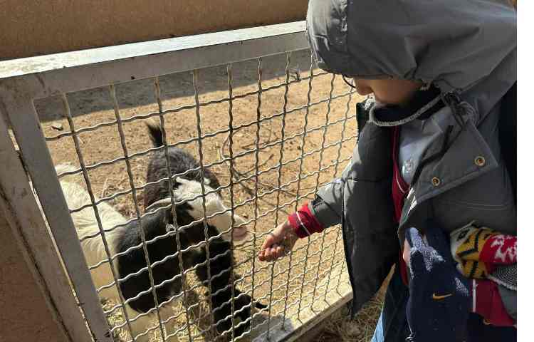 اردوی علمی پارک حیاط 14