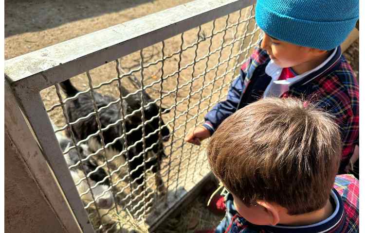 اردوی علمی پارک حیاط 15