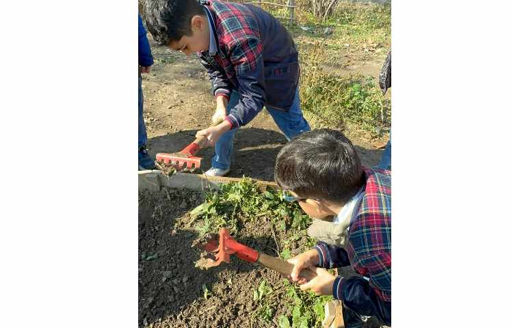 اردوی علمی پارک حیاط 16